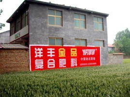 崇仁如何让墙体广告展现最大化效果