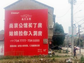 崇仁墙体广告在乡镇、农村市场的媒体优势