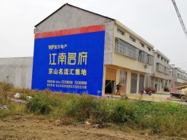 崇仁农村墙体广告在不同形式上面展现的不同特色