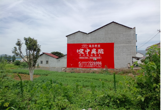崇仁做墙体广告的意义
