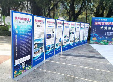 崇仁KT板的种类和知识。